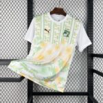 Mens Ivory Coast 2026 World Cup Away Jersey