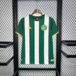 Mens Chapecoense 2026/27 Home Jersey