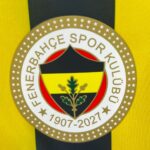 Mens Fenerbahce 2026/27 Home Jersey – view 6