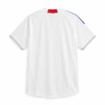 Retro Japan 2010 Away Jersey – view 2