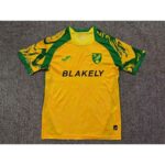 Mens Norwich City FC 2026/27 Home Jersey – view 5