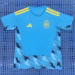 Mens Spain 2026 World Cup Goalkeeper Jersey(Champion 2-Star Version) – view 4