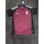 Mens Spain 2026 World Cup Goalkeeper Jersey (Champion 2-Star Version) – view 4