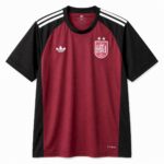 Mens Spain 2026 World Cup Goalkeeper Jersey (Champion 2-Star Version)