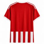Mens Olympiacos FC 2026/27 Home Jersey – view 2