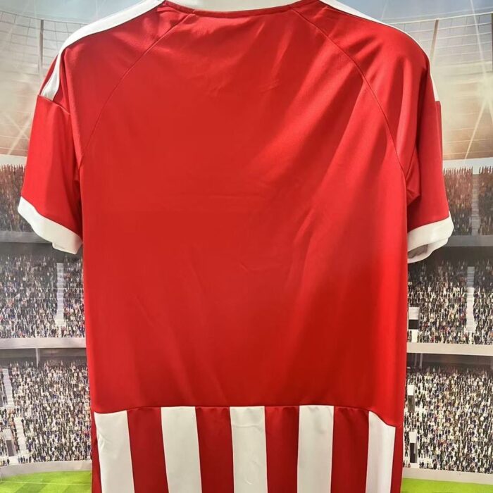 Mens Olympiacos FC 2026/27 Home Jersey – view 4
