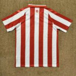 Mens Sunderlandl 2026/27 Home Jersey – view 6