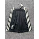 Mens Liverpool 2026/27 Third Shorts – view 3