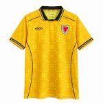 Mens Wales 2026/27 Away Jersey