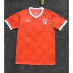 Mens Wales 2026/27 Home Jersey – view 4