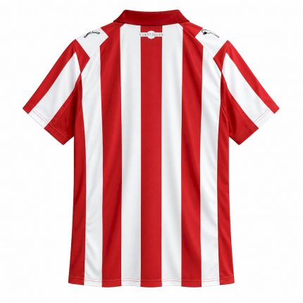 Mens PSV Eindhoven 2026/27 Coen Dillen Special Jersey – view 2