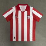 Mens PSV Eindhoven 2026/27 Coen Dillen Special Jersey – view 4