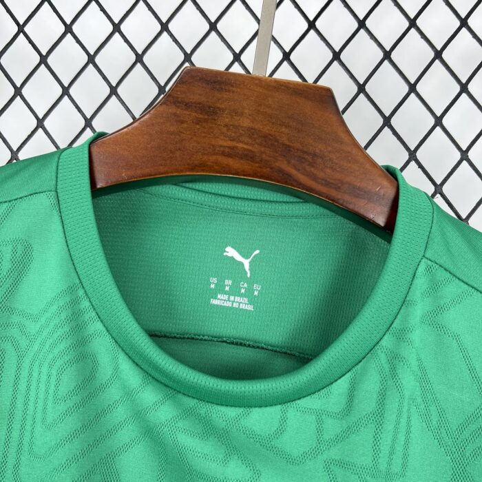 Mens Palmeiras 2025/26 Pre-Match Jersey 6