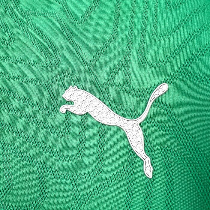 Mens Palmeiras 2025/26 Pre-Match Jersey 4
