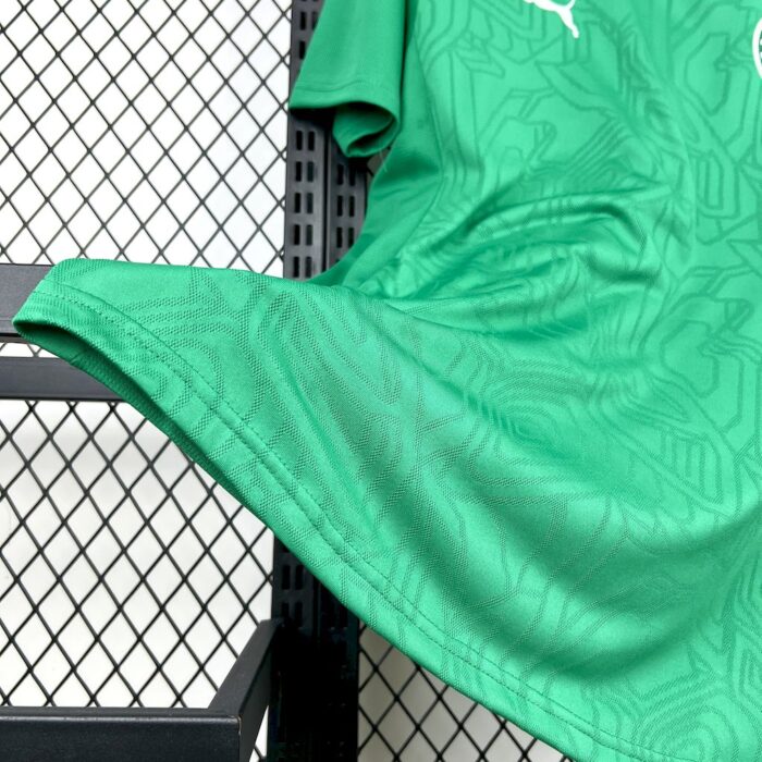 Mens Palmeiras 2025/26 Pre-Match Jersey 2