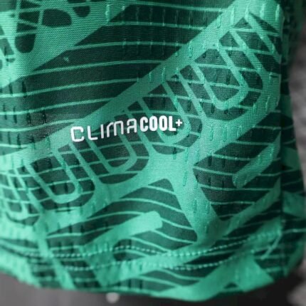 Mens Mexico 2026 World Cup Home Jersey Player Version 1