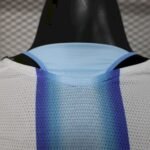 Mens Argentina 2026 World Cup Home Jersey Player Version 4