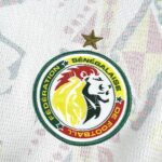 Mens Senegal 2026 World Cup Home Jersey 6