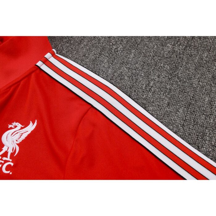 Unisex Liverpool 2025 Terrace Icons Track Top 5