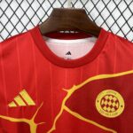 Mens Bayern Munich 2025/26 Special Edition Jersey 2