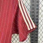 Mens Arsenal 2025/26 Terrace Icons  Jersey 5