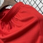 Mens Paris Saint-Germain 2025/26 Third Shorts 3