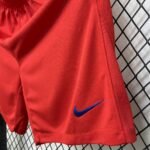 Mens Paris Saint-Germain 2025/26 Third Shorts 1