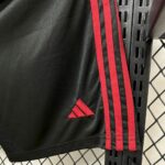 Mens Liverpool 2025/26 Away Shorts 2