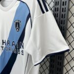 Mens Paris FC 2025/26 Away Jersey 5