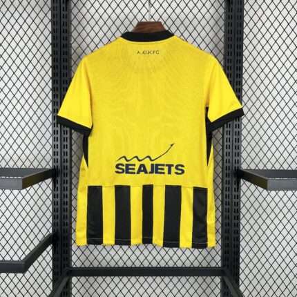 Mens AEK Athens 2025/26 Home Jersey 1