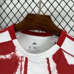 Mens Olympiacos FC 2025/26 Away Jersey 8
