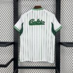 Mens Celtic 2025/26 Baseball Jersey 1