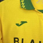 Mens Norwich City FC 2025/26 Home Jersey 7