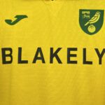 Mens Norwich City FC 2025/26 Home Jersey 5