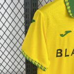 Mens Norwich City FC 2025/26 Home Jersey 3