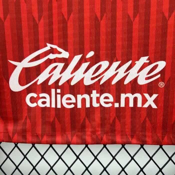 Mens Deportivo Toluca F.C. 2025/26 Home Jersey 2
