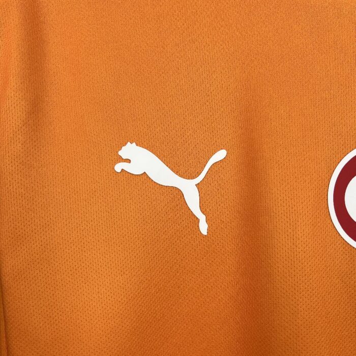 Mens Galatasarays 2025/26 Home Jersey 7