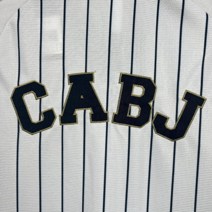 Mens Boca Juniors 2025/26 Baseball Jersey 2