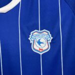 Mens Cardiff City F.C. 2025/26 Home Jersey 6