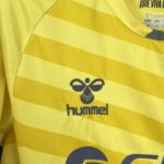 Mens Real Betis 2025/26 Goalkeeper Jersey 9