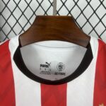 Mens PSV Eindhoven 2025/26 Home Jersey 9