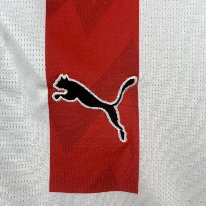 Mens PSV Eindhoven 2025/26 Home Jersey 8