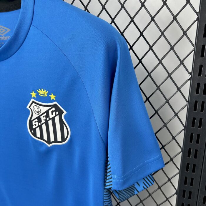 Mens Santos 2025/26 Goalkeeper Jersey 3