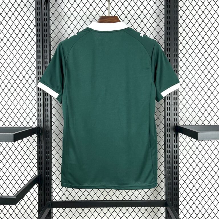 Mens Plymouth Argyle F.C. 2025/26 Home Jersey 1