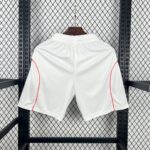 Mens Bayern Munich 2025/26 Away Shorts 1