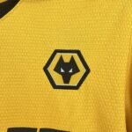 Mens Wolves 2025/26 Home Jersey 5