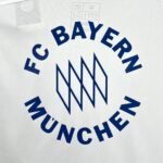 Mens Bayern Munich 2025/26 Leisure Jersey 2