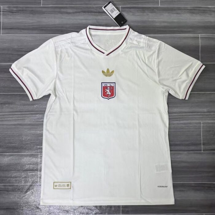 Mens Olympique Lyonnais 2025/26 75th Anniversary Jersey 2