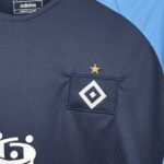 Mens Hamburger SV 2024/25 Pre-Match Shirt Jersey 5
