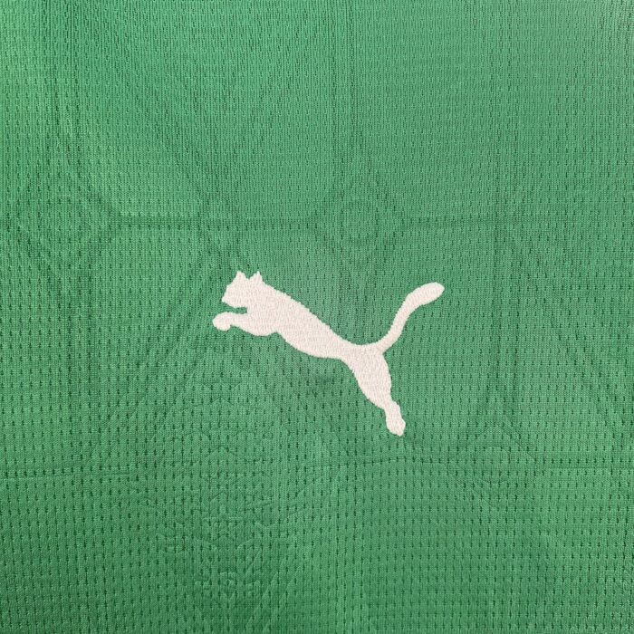 Womens Palmeiras 2025/26 Home Jersey 4